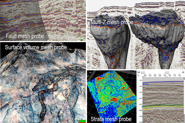 Petrel Seismic Volume Rendering And Extraction