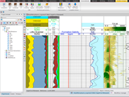 Techlog Shale Petrophysics