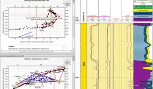 Petrophysics Software