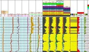 Petrophysics Software